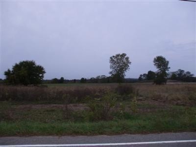 Primary Photo