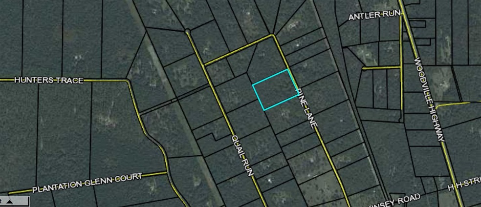 0 Pine Ln unit 2, Crawfordville, FL 32327 - photo 1