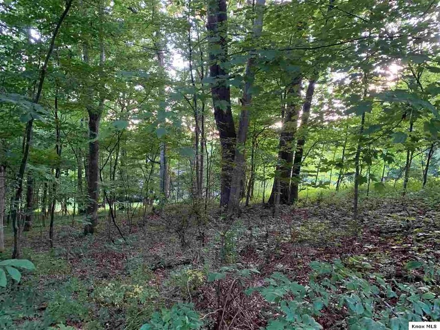 Lot 498 Grand Valley Rd, Brown Township, OH 43028 - photo 1