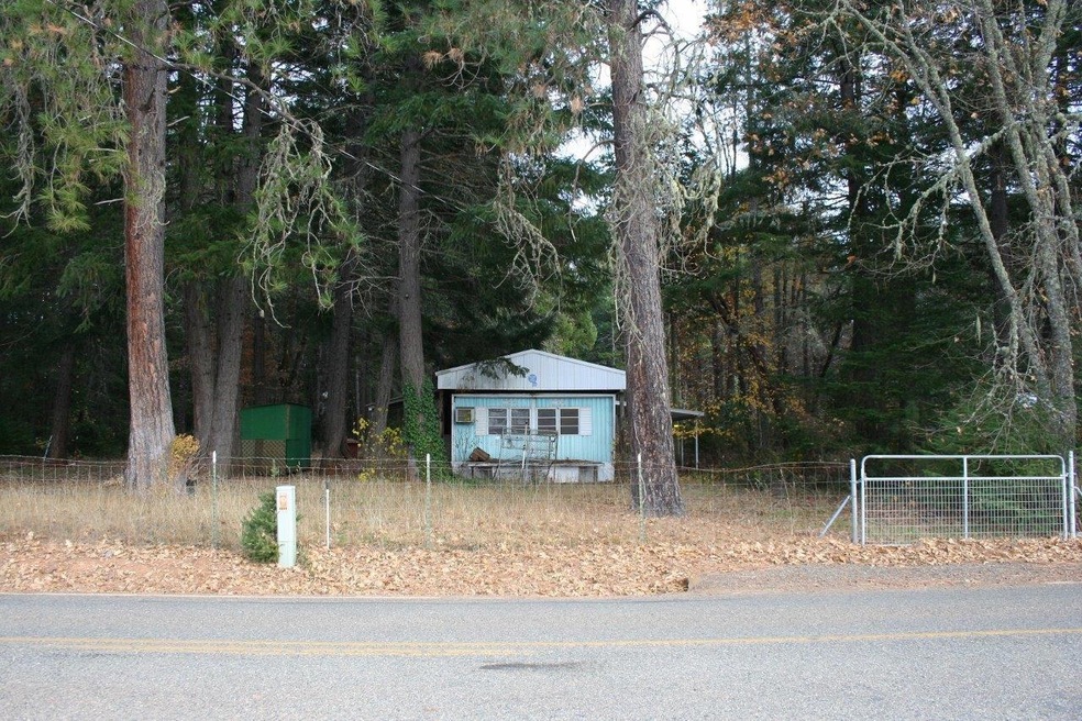 Primary Photo