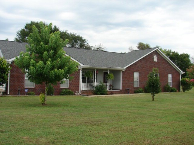Main View