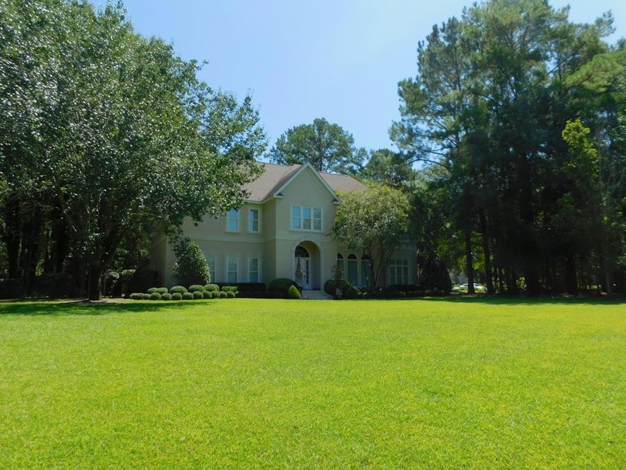 Main View