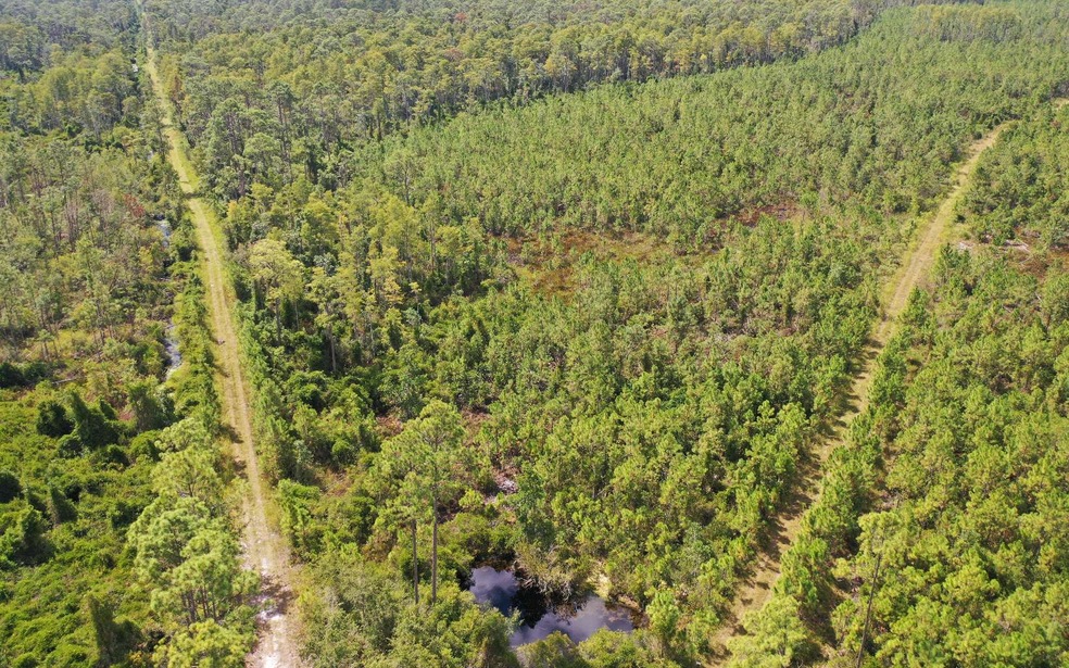 Bat rd and West Boundary rd