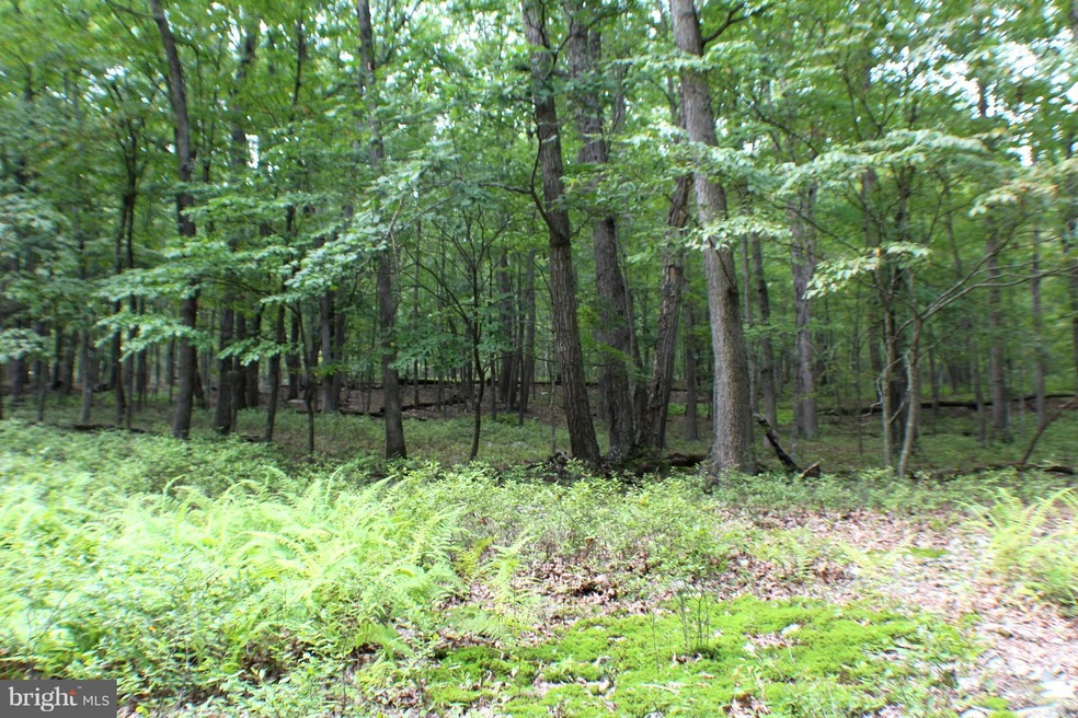 LOT 16 Posy Hill Rd, Wardensville, WV 26851 - photo 1