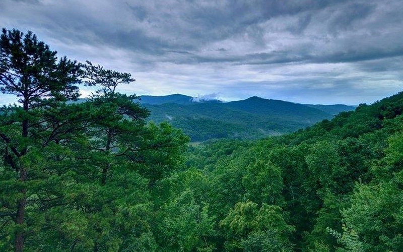 Main View