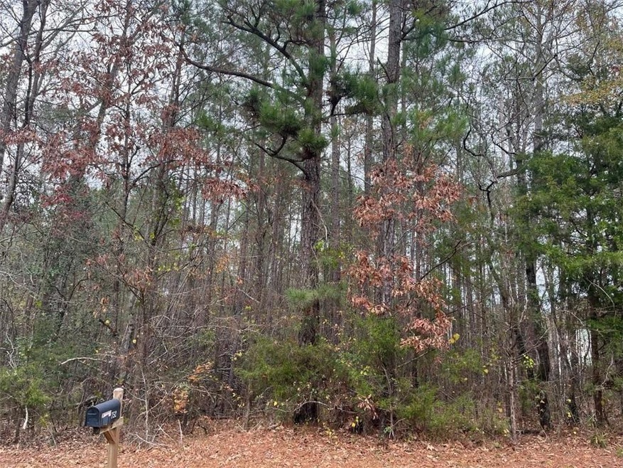 0 Fincher Rd unit 7150061, Covington, GA 30016 - photo 1