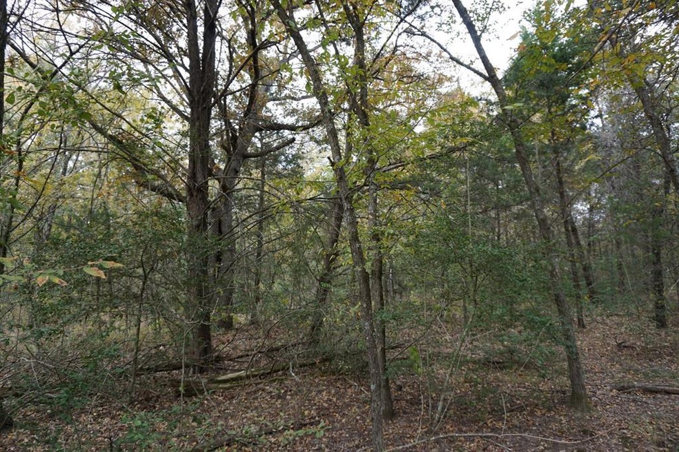 01 Cr 1316, Malakoff, TX 75148 - photo 1