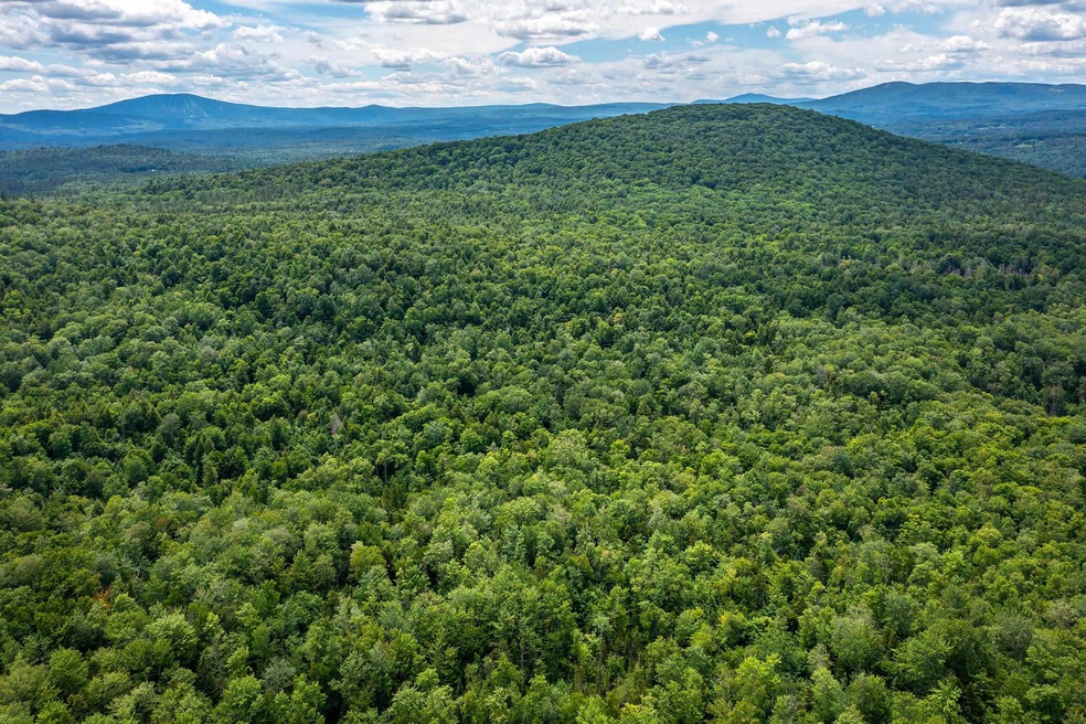 Photo of Cobble Hill in foreground, Stratton Mount