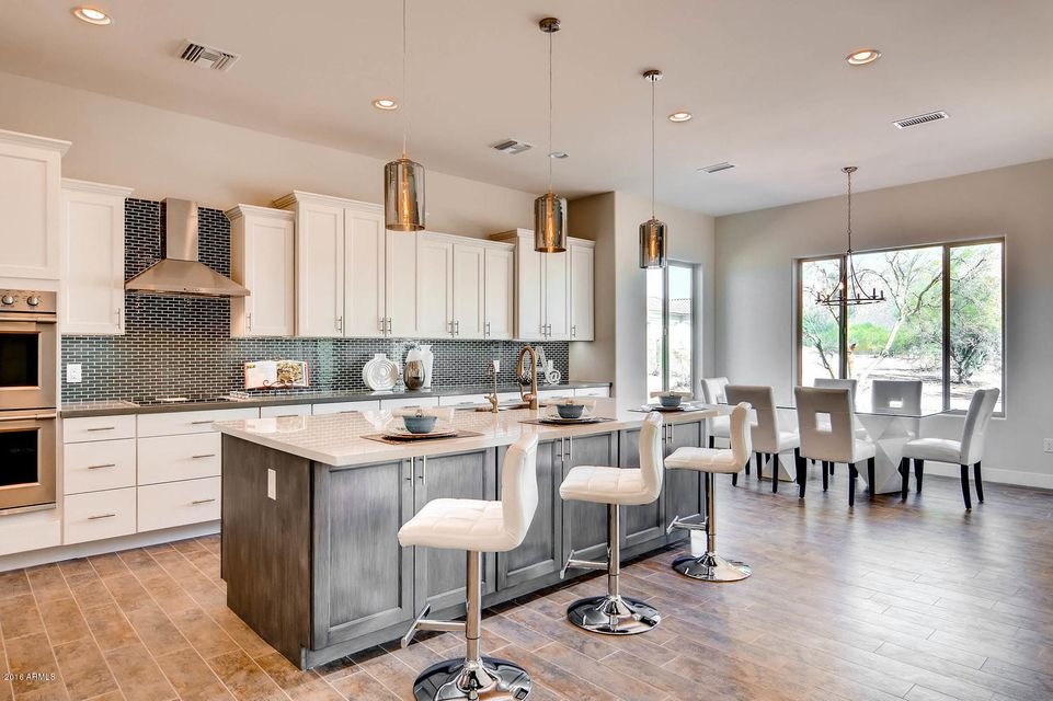 1919 N 103rd St Mesa AZ 85207-large-008-