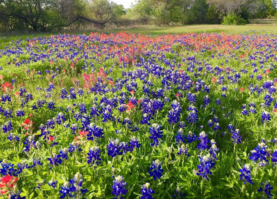 284 Gail Dr, Weatherford, TX 76085 - photo 1