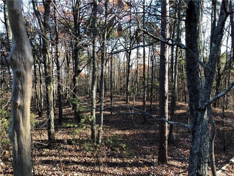 Very gentle slope on this lot.  Should be an easy build for many floor plans