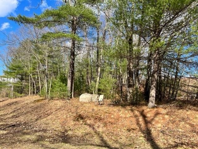 19 Bancroft Rd, Londonderry, NH 03053 - photo 1