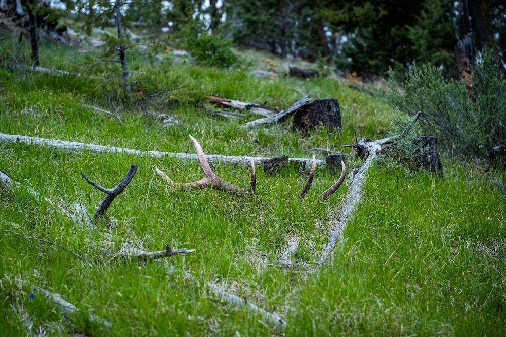 52960 Cummings Creek Rd, Mount Vernon, OR 97865 - photo 1