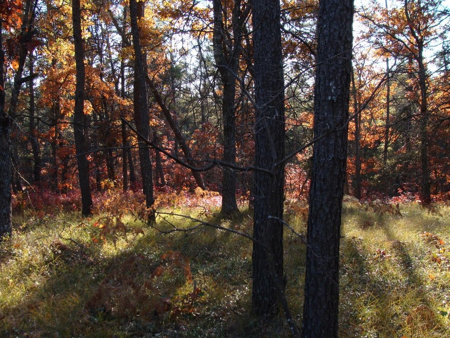 10 Acres
