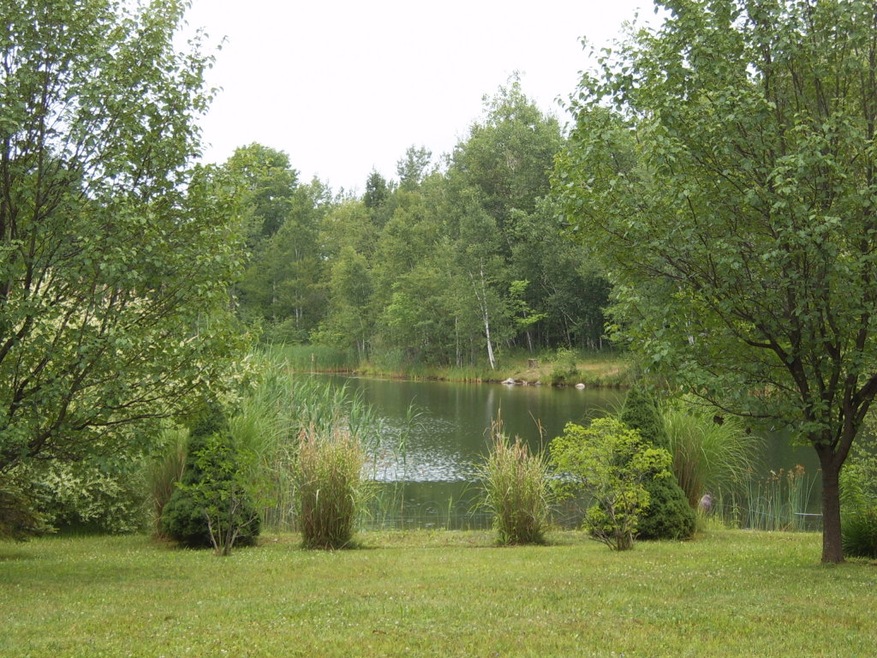 Beautiful landscaped lot