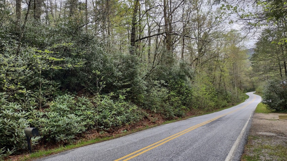 Lot view along Whiteside Cove Rd