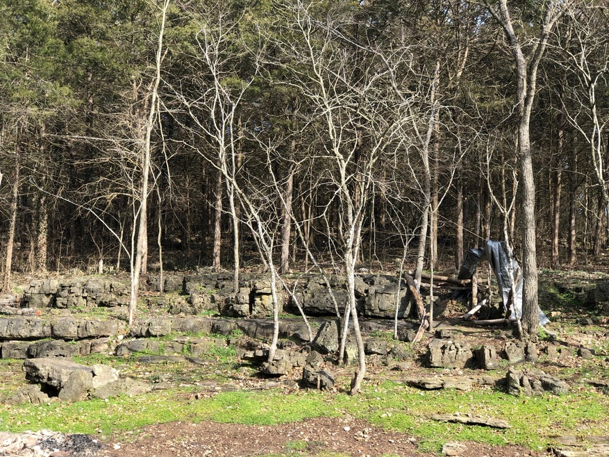 Wooded lot