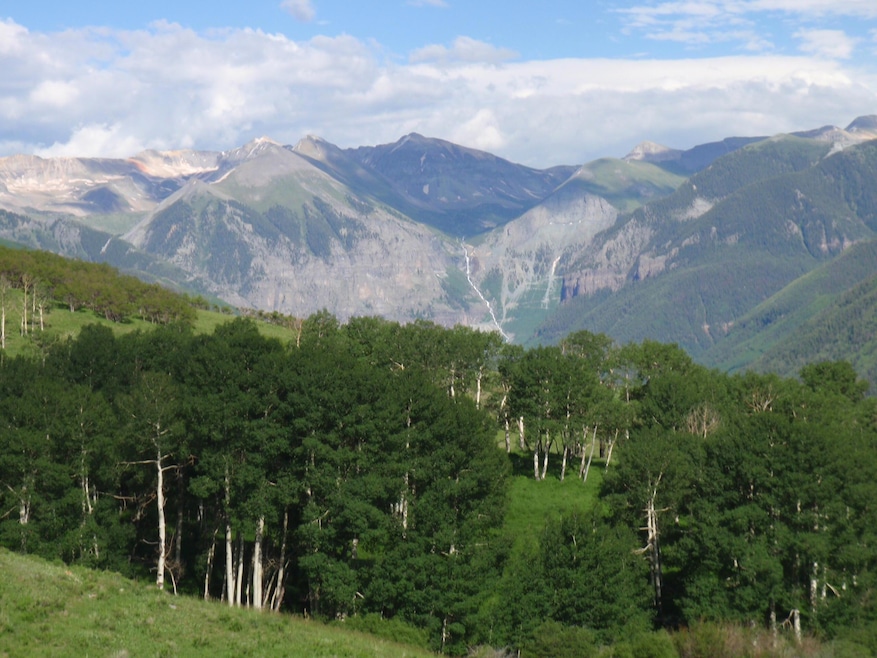 Sold $1,350,000 • Co-Listing Agent