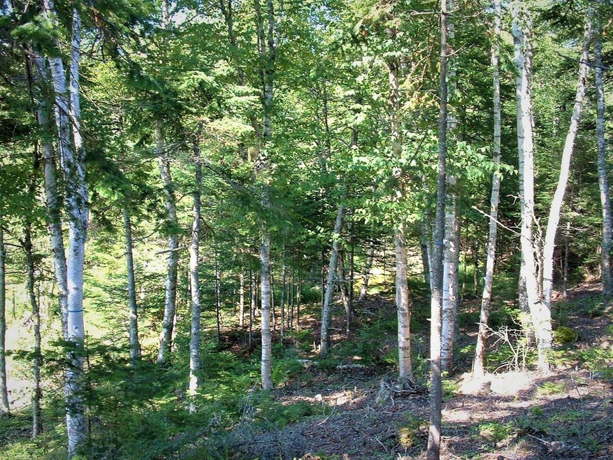 Lot  1B Duck Cove Rd, Roque Bluffs, ME 04654 - photo 1