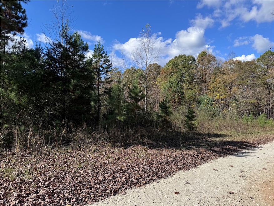 0 C H 68, Mountain  Rest, SC 29664 - photo 1