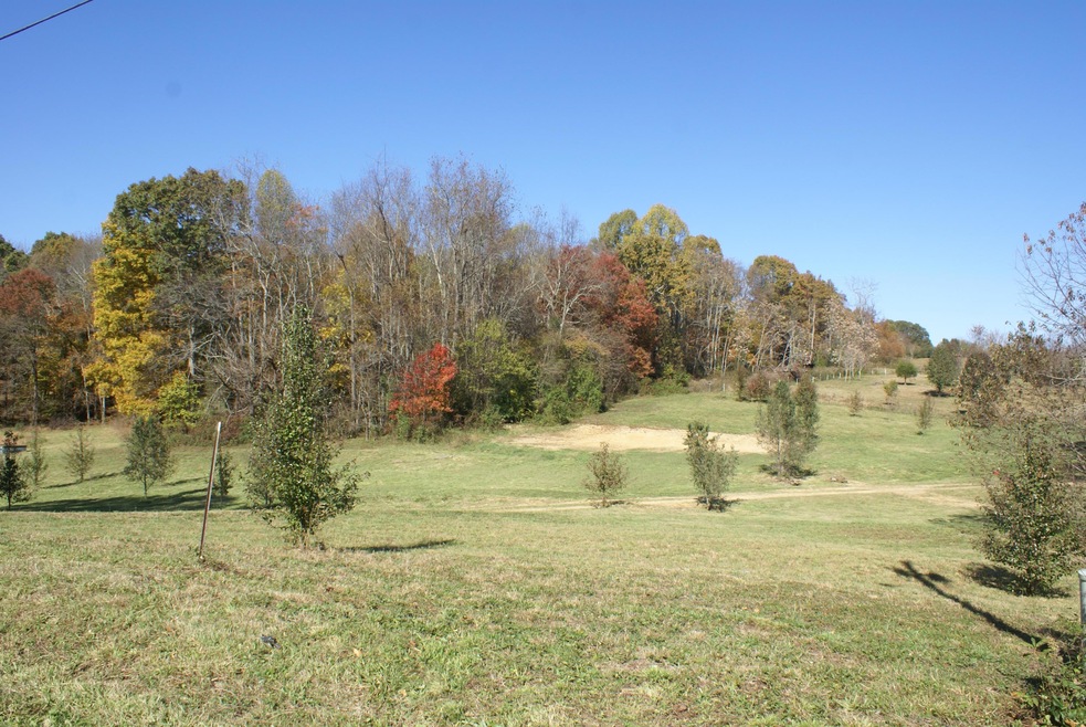 102 Kincheloe Rd Rd, Fall Branch, TN 37656 - photo 1