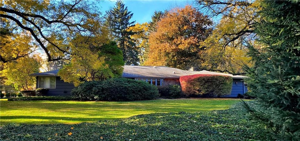 205 Esplanade Drive, Brighton. Fabulous one level 
