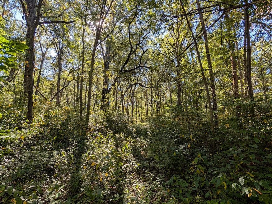 , 244th St, West Creek Township, IN 46376 - photo 1