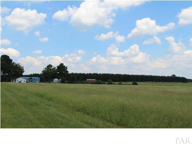 Beautiful Farm!