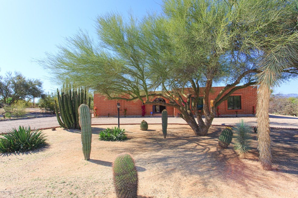 Front Yard