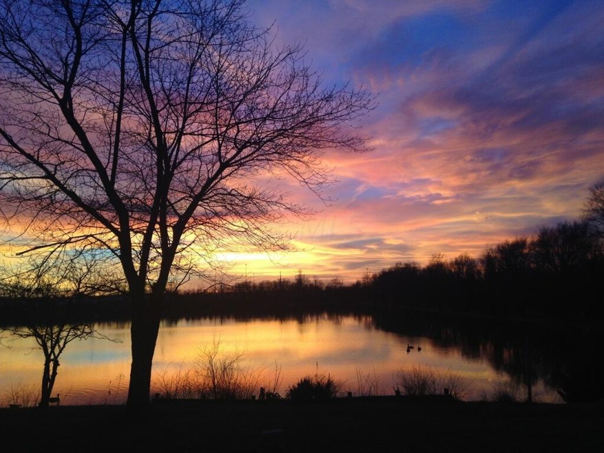 Lakefront Backyard