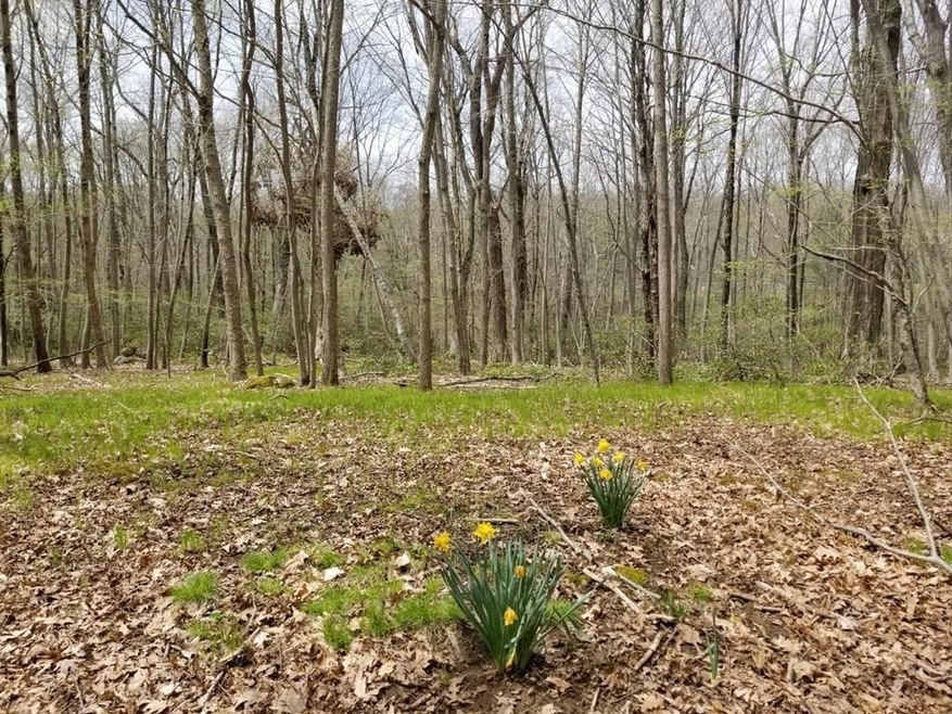 XO Frontage Rd, Ashford, CT 06278 - photo 1