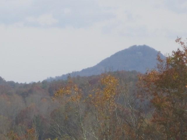 1720 Raper Mountain Rd, Clarkesville, GA 30523 - photo 1