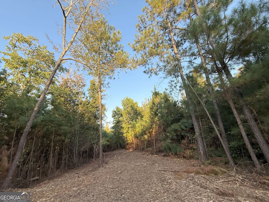 2 Emmaus Dr, Elberton, GA 30635 - photo 1