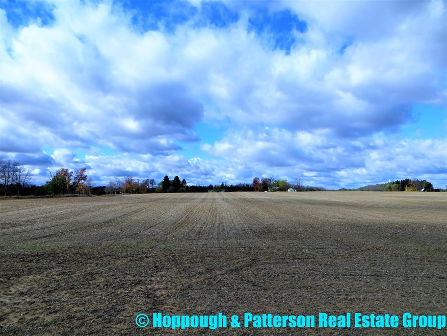 V/L N Jefferson St, Ionia, MI 48846 - photo 1