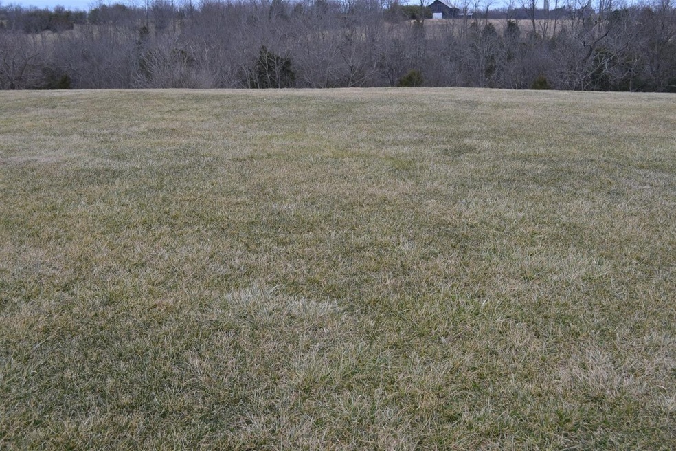 175 Lakeland Dr, Harrodsburg, KY 40330 - photo 1