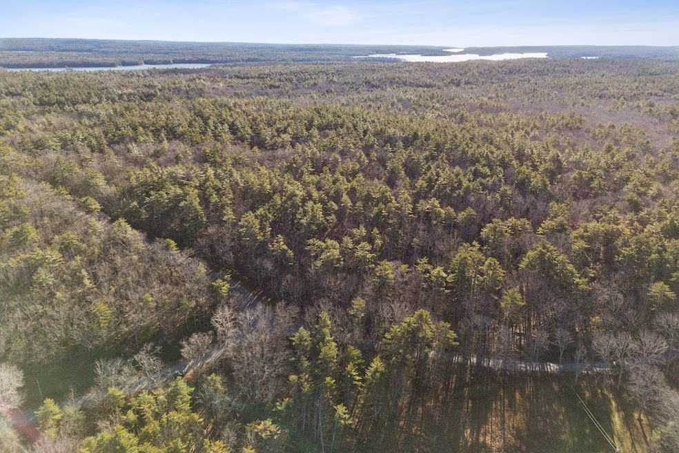 mls_DJI_20241125095156_0593_D