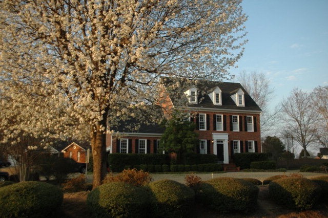 Main View