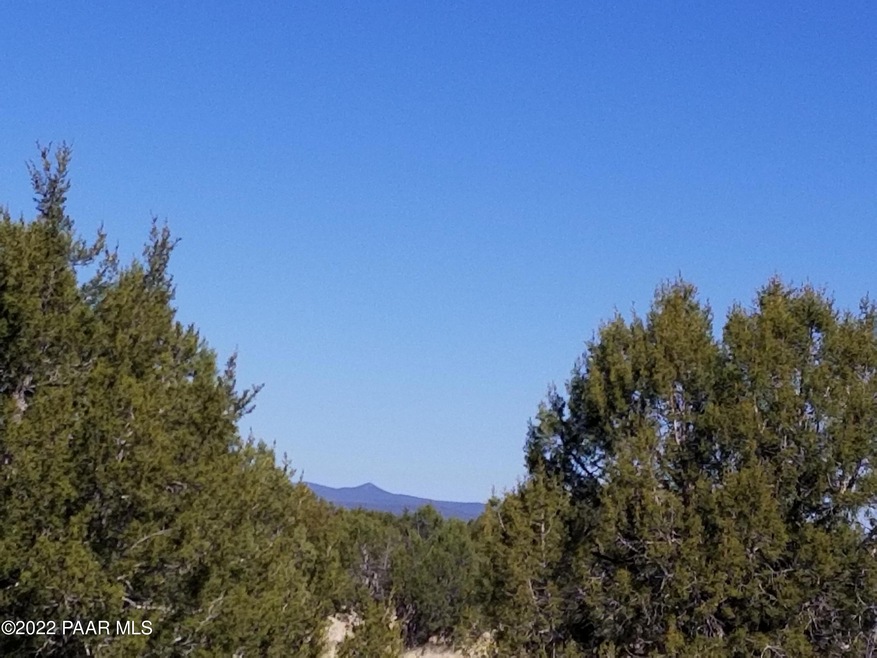 Lot 264 Juniperwood Ranch, Ash Fork, AZ 86320 - photo 1