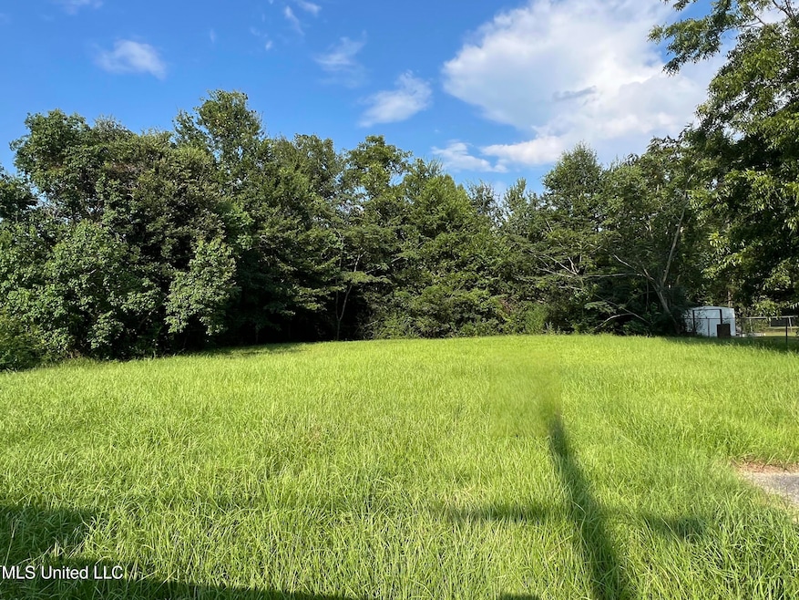 441 Park St, Wiggins, MS 39577 - photo 1