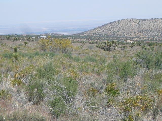 P1050296