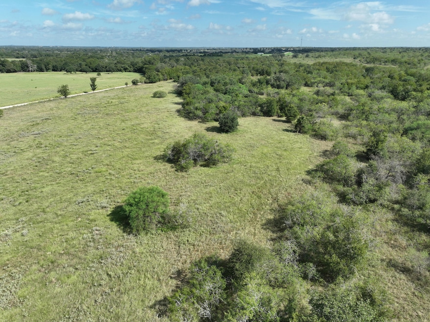 0 County Road 424, Waelder, TX 78959 - photo 1