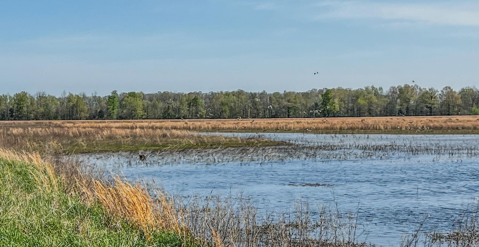 1962 acres Upper Lockhart Rd, Cord, AR 72524 - photo 1