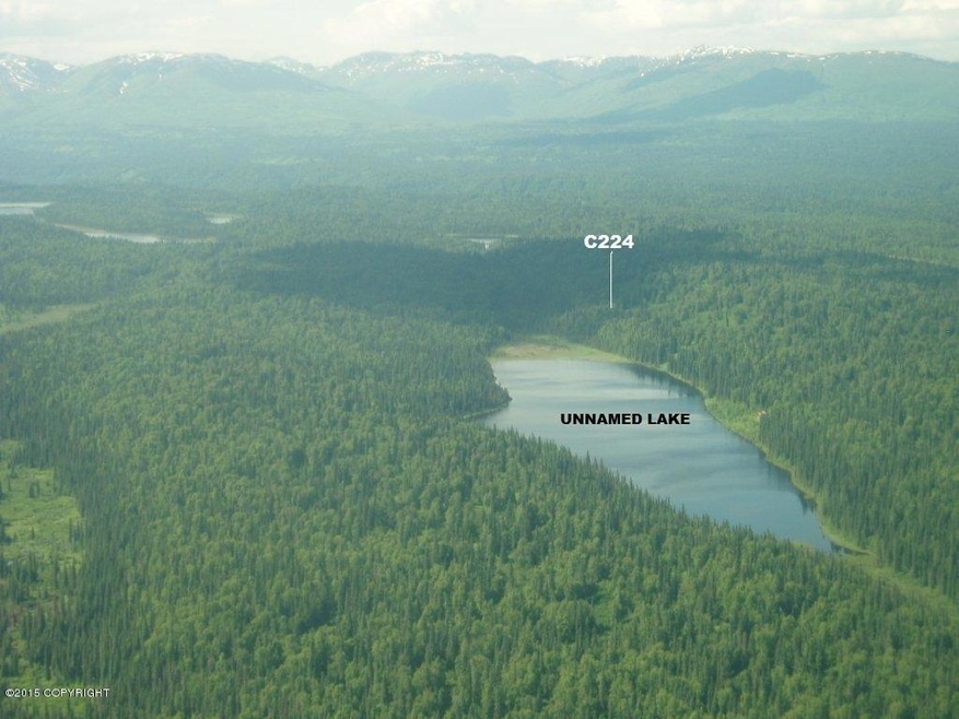 C224f1