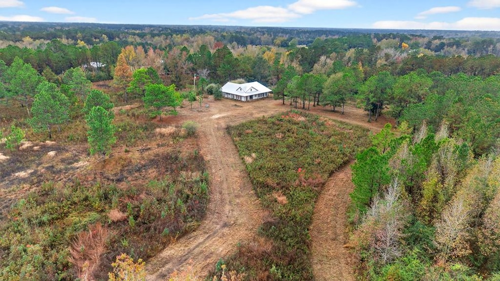 26 Fox Run N, Carriere, MS 39426 - photo 1