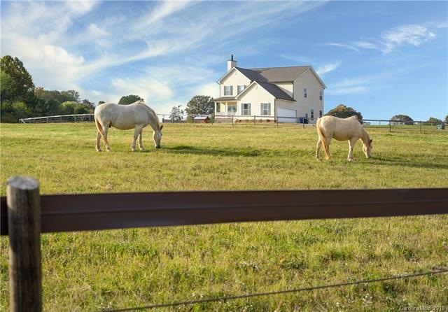 Your new view as you pull into your 13 acre estate!