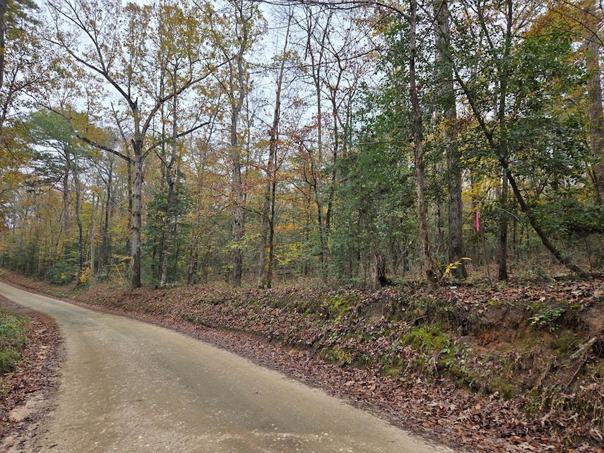 R22961 County Road 2150, Colmesneil, TX 75979 - photo 1