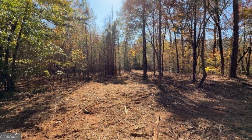 TRACT A Russellville Rd, Forsyth, GA 31029 - photo 1