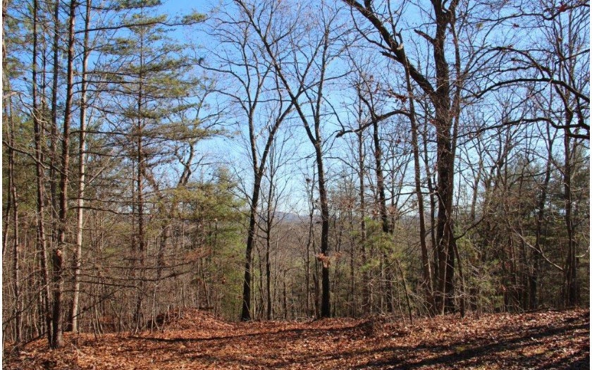 513 Huckleberry Ln, Mineral Bluff, GA 30559 - photo 1