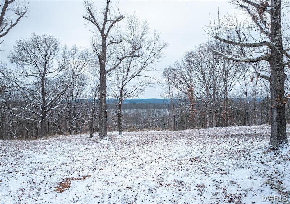 000 Click, Richwoods, MO 63071 - photo 1