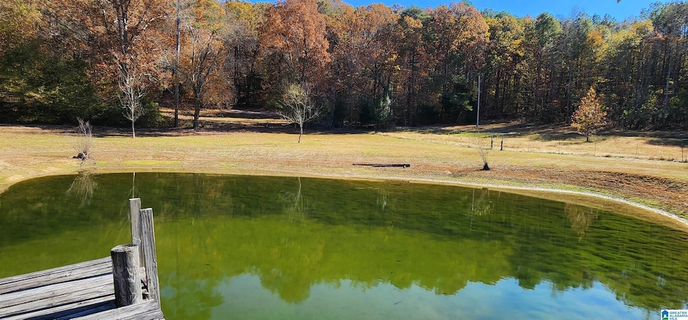 352 Kudzu Rd, Oneonta, AL 35121 - photo 1